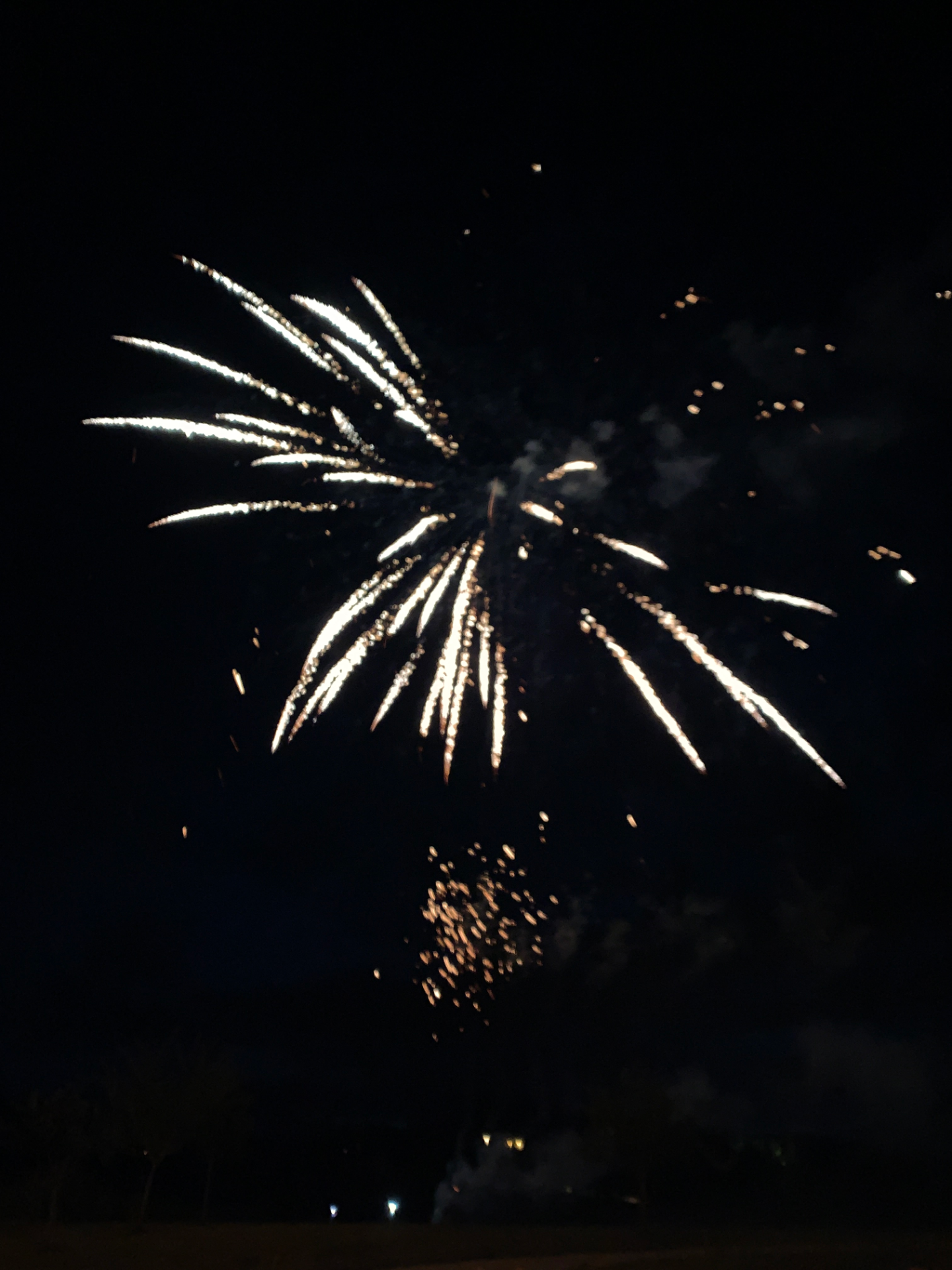 une gerbe de feu d'artifice