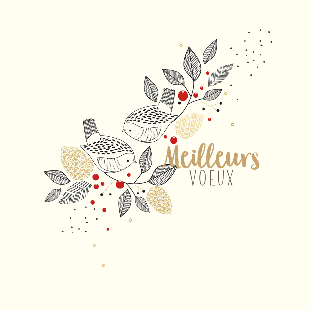 dessin meilleurs voeux oiseaux et branchages